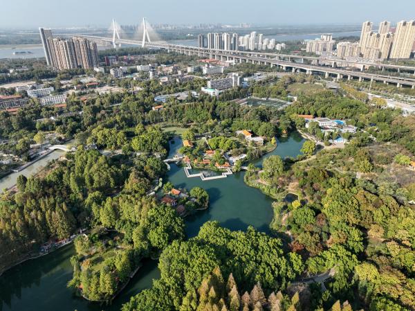 播放举重冠军_举重冠军是什么生肖_阳春举重冠军