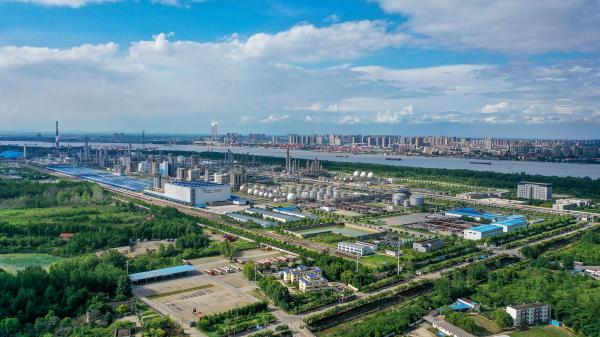 阳春举重冠军_举重冠军是什么生肖_播放举重冠军