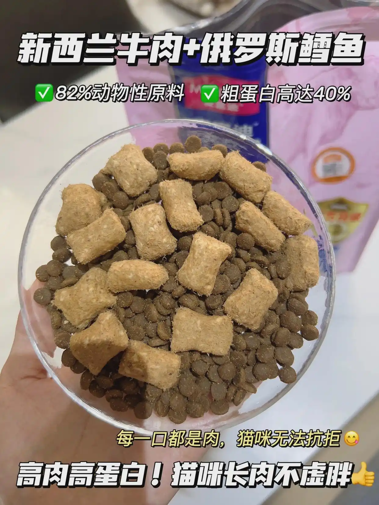 猫咪的生活状态_猫猫状态_猫咪生活状态百科