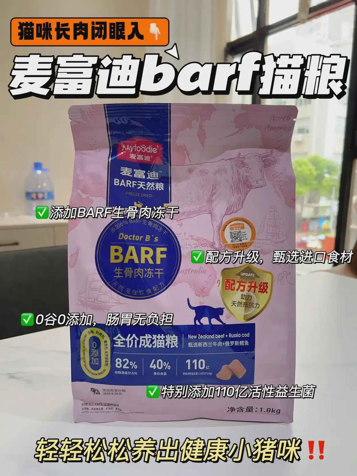 猫猫状态_猫咪的生活状态_猫咪生活状态百科