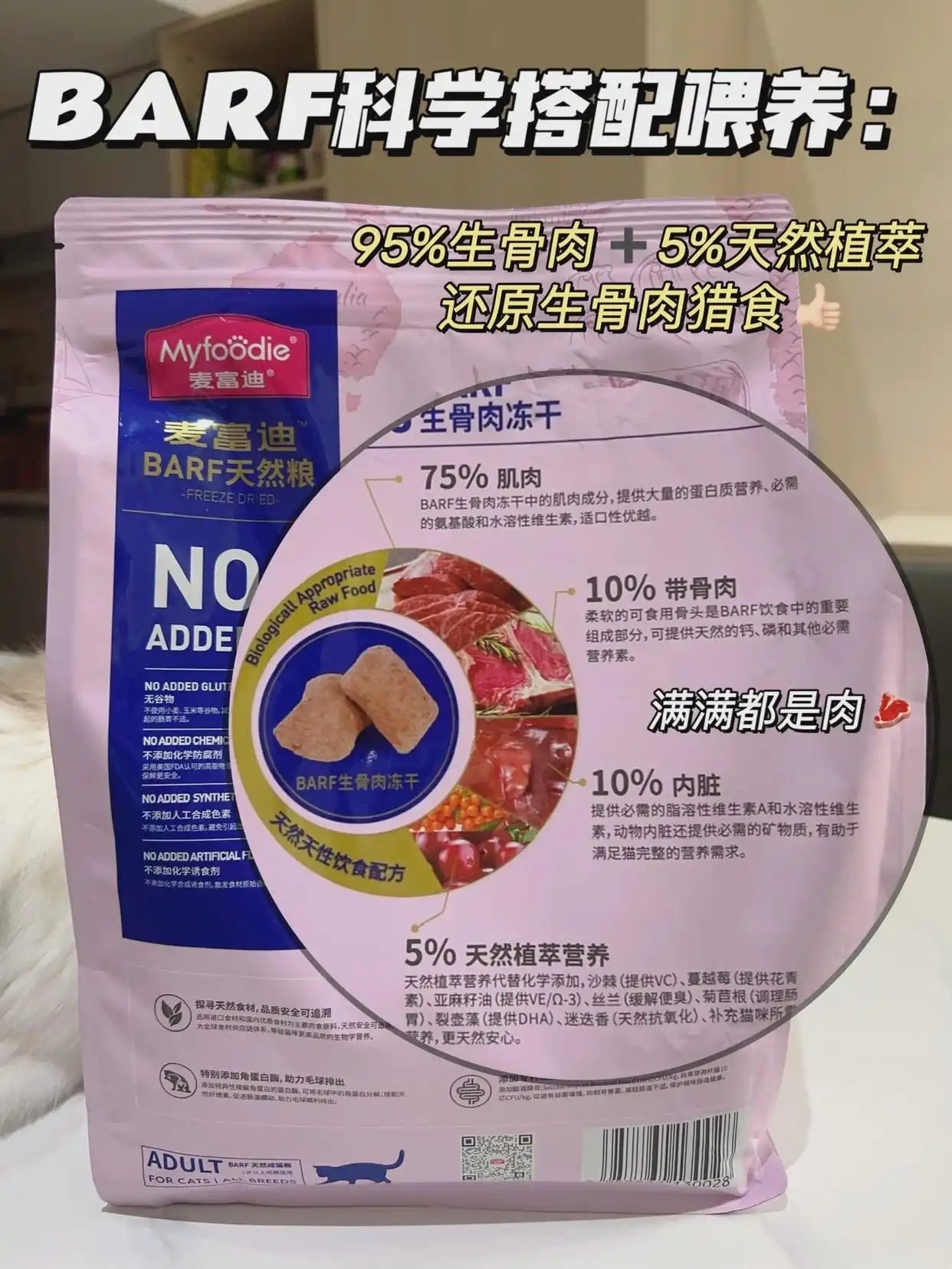 猫猫状态_猫咪生活状态百科_猫咪的生活状态