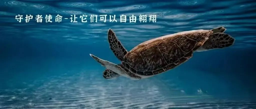 岁月太匆匆生活歌曲_岁月岛生活技能_愿岁月厚待生活如花