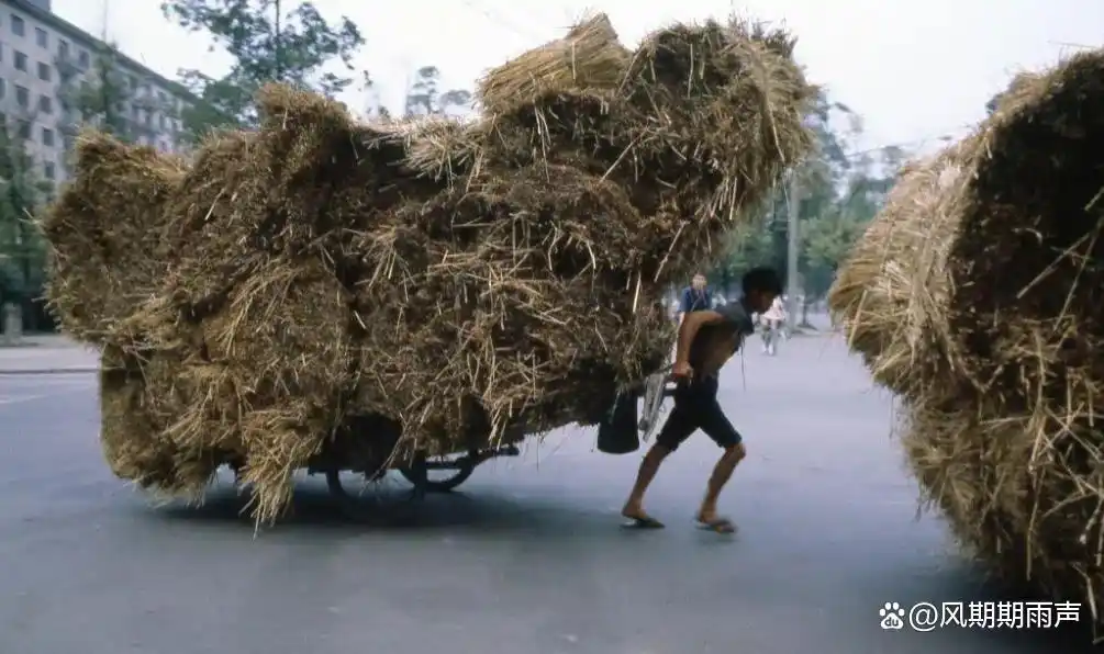 普通家庭的照片_普通家庭照片日常_日常家里照片