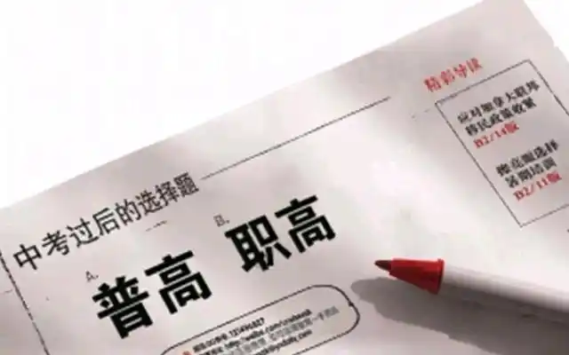常识小学基本教育内容_小学教育基本常识_小学的基础教育