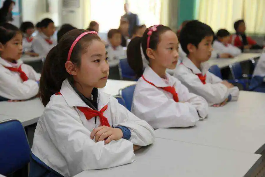 小学的基础教育_小学教育基本常识_常识小学基本教育内容