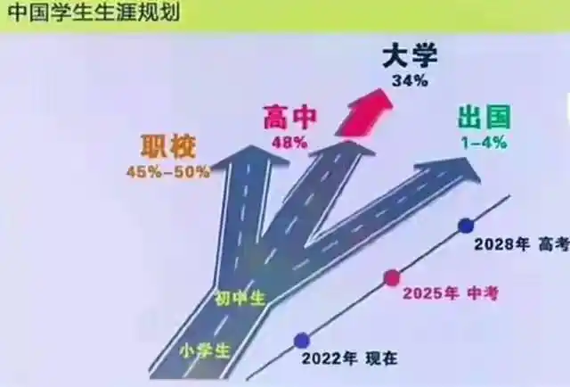 小学的基础教育_小学教育基本常识_常识小学基本教育内容