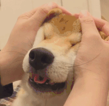 生活趣闻作文_生活没有趣闻下一句怎么接_生活点滴和趣闻