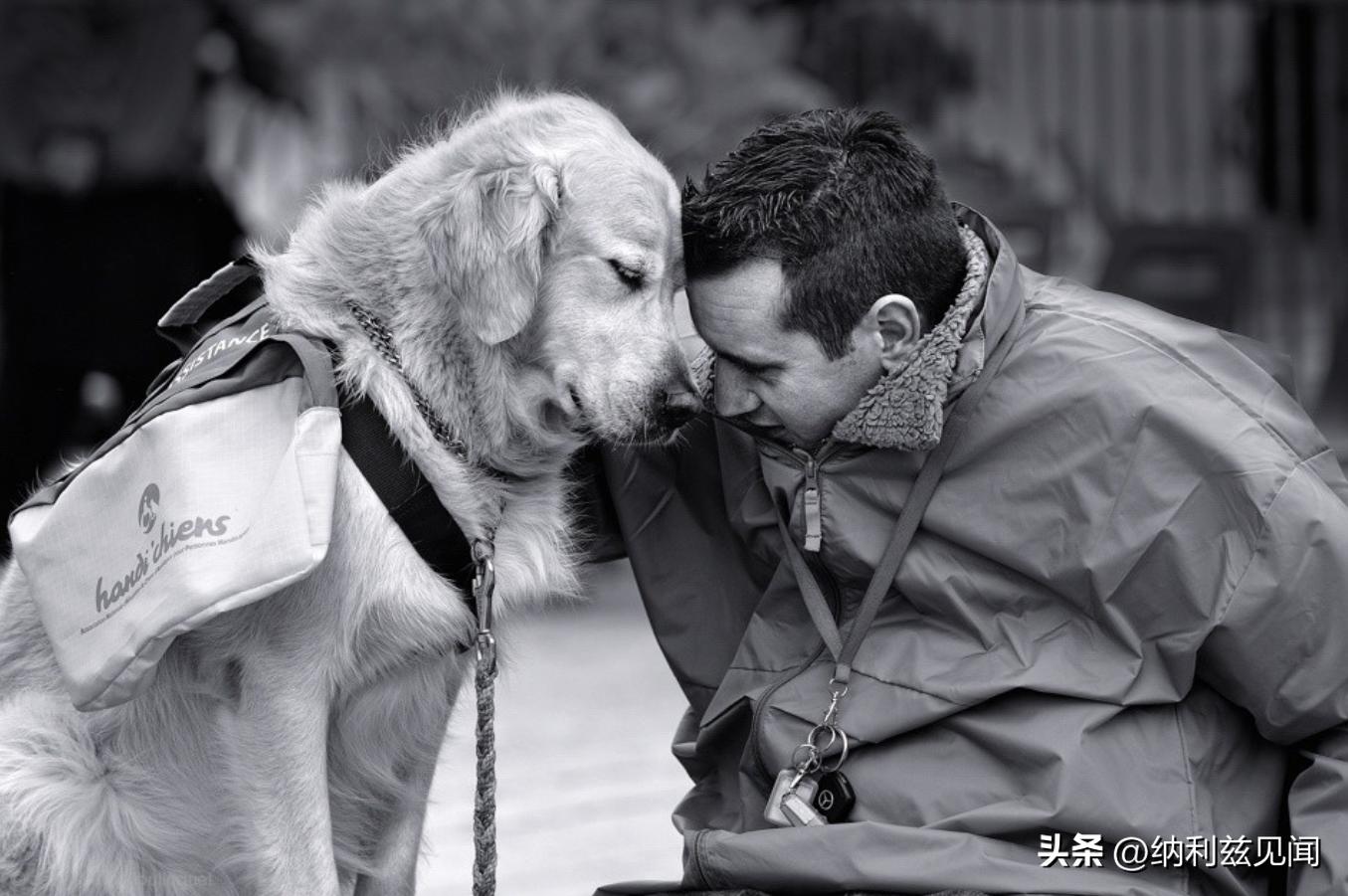 生活点滴和趣闻_生活没有趣闻下一句怎么接_生活趣闻作文