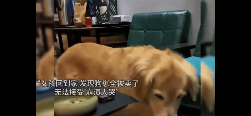 生活趣闻作文_生活没有趣闻下一句怎么接_生活点滴和趣闻