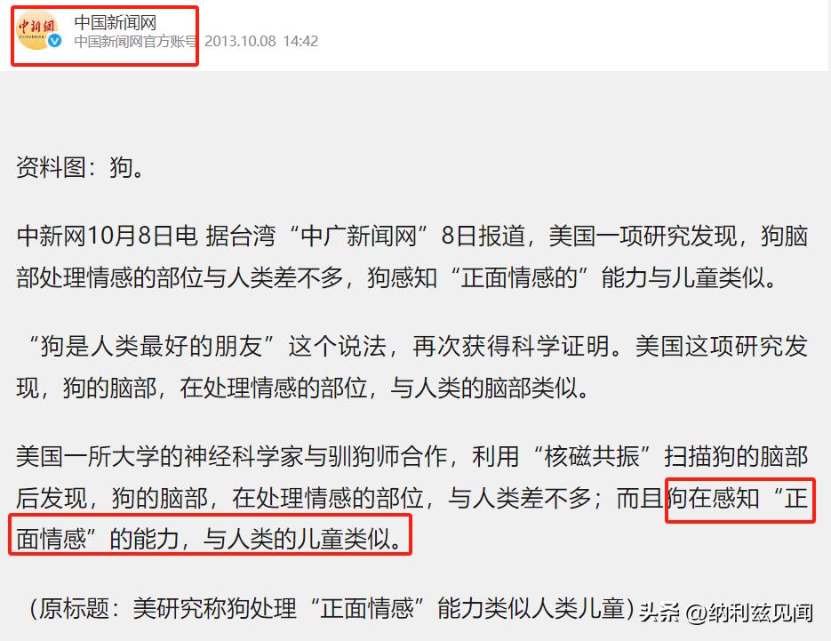 生活没有趣闻下一句怎么接_生活点滴和趣闻_生活趣闻作文