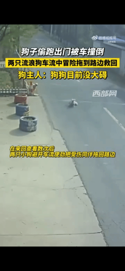生活趣闻作文_生活点滴和趣闻_生活没有趣闻下一句怎么接