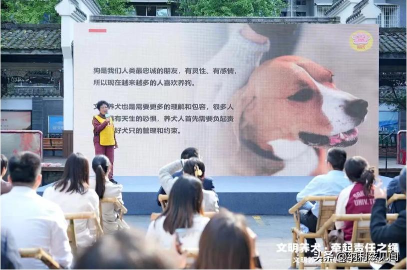 生活趣闻作文_生活没有趣闻下一句怎么接_生活点滴和趣闻